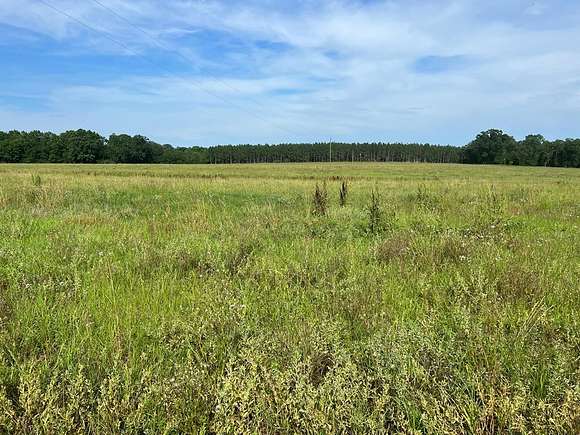 8 Acres of Land for Sale in Dothan, Alabama