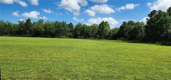 0.606 Acres of Residential Land for Sale in Gueydan, Louisiana