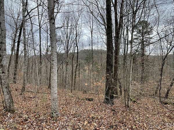 4 Acres of Land for Sale in Somerset, Kentucky