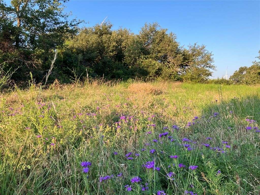 31.24 Acres of Recreational Land for Sale in Desdemona, Texas