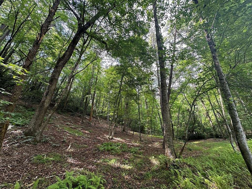 1.08 Acres of Residential Land for Sale in Ellijay, Georgia