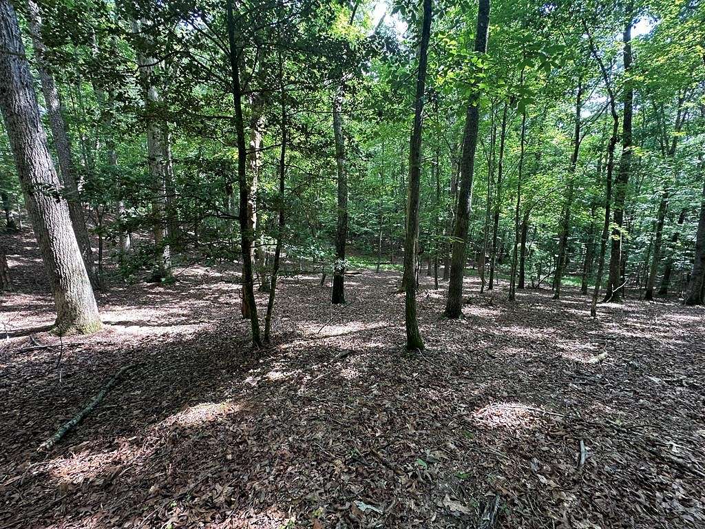 0.74 Acres of Residential Land for Sale in Ellijay, Georgia