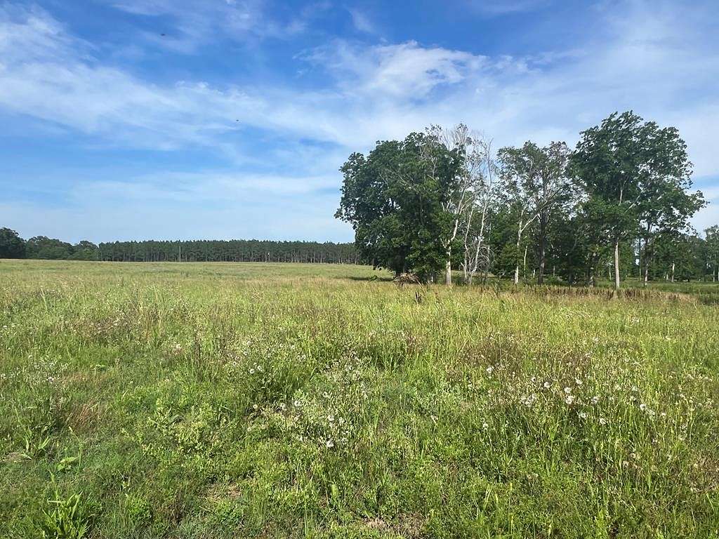 11.3 Acres of Land for Sale in Dothan, Alabama