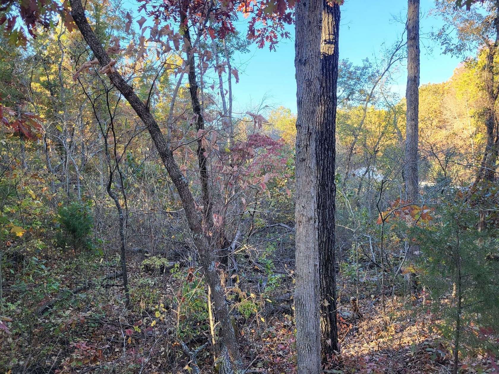 1.4 Acres of Land for Sale in Mountain Grove, Missouri