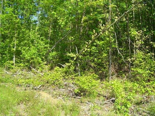 5.76 Acres of Land for Sale in Wilder, Tennessee - LandSearch