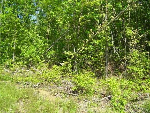 5.76 Acres of Land for Sale in Wilder, Tennessee