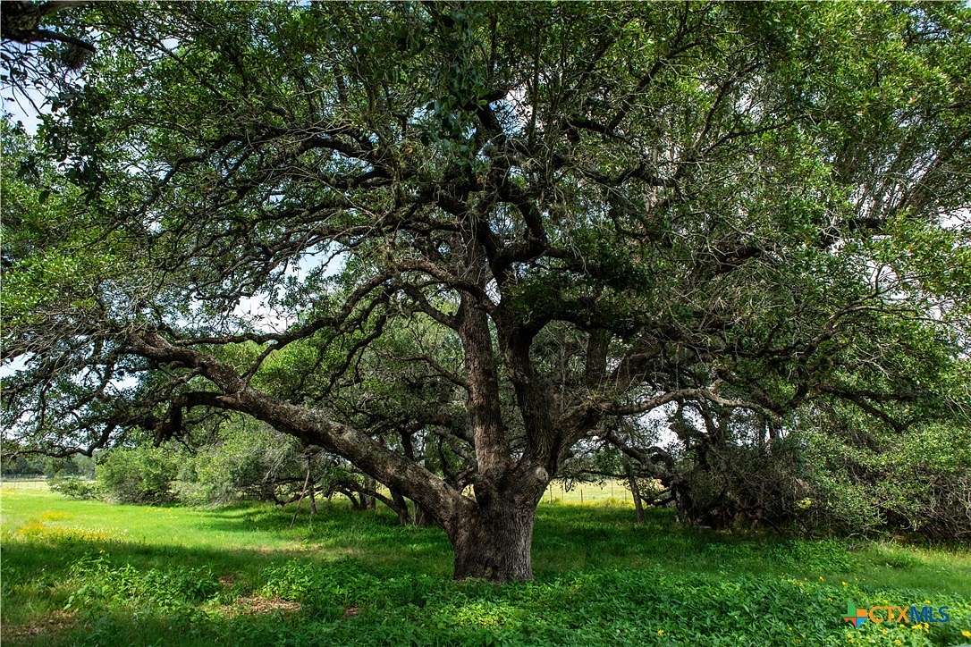 10 Acres of Land for Sale in Somerset, Texas