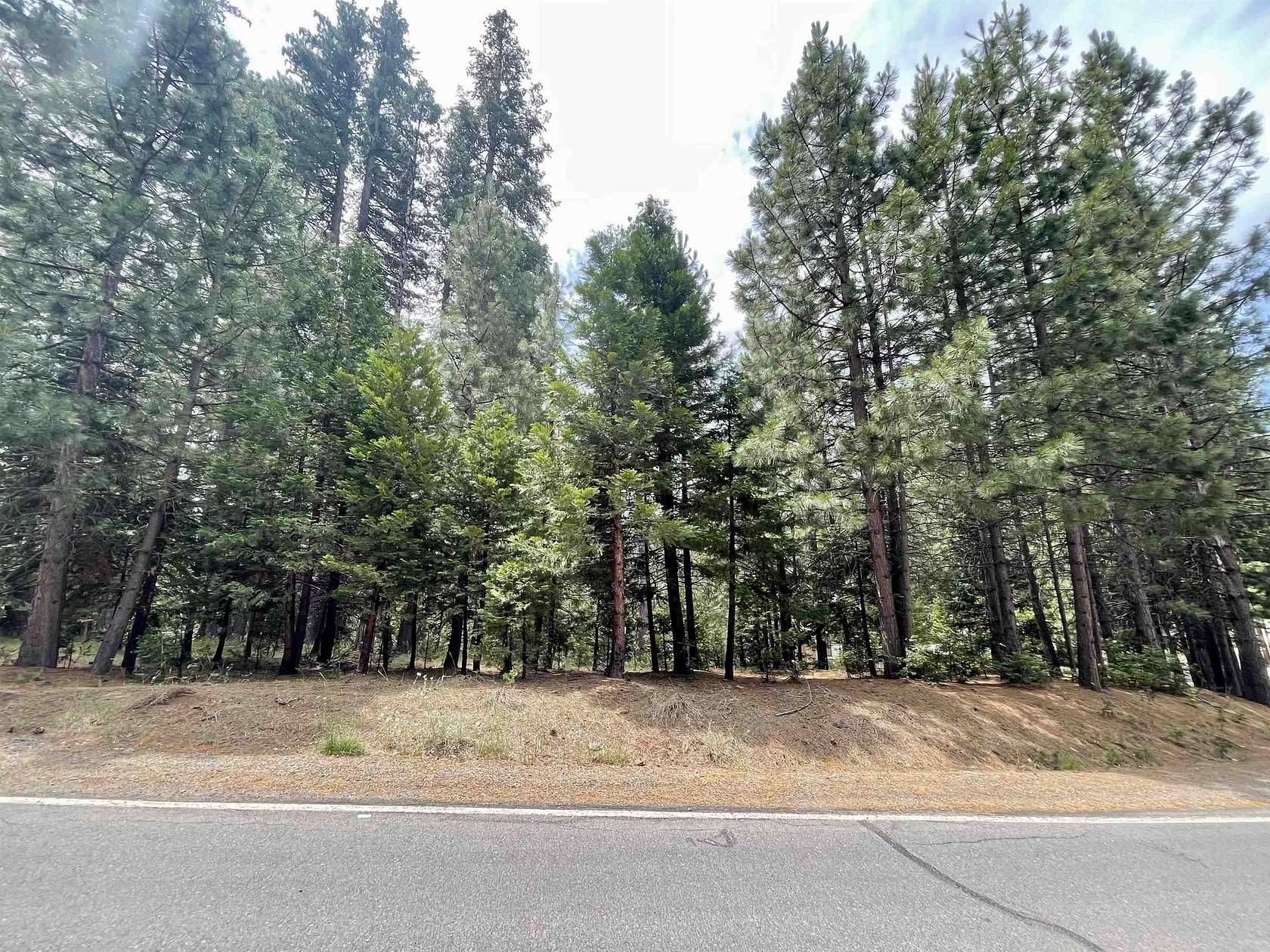 0.52 Acres of Residential Land for Sale in Lake Almanor Country Club, California