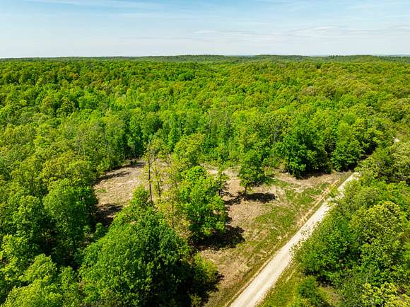 55 Acres of Recreational Land for Sale in Imboden, Arkansas