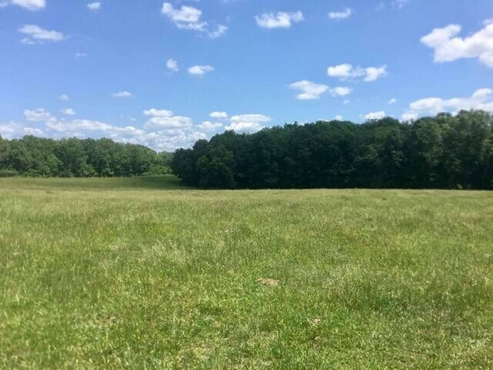 39 Acres of Recreational Land & Farm for Sale in Mountain View, Missouri