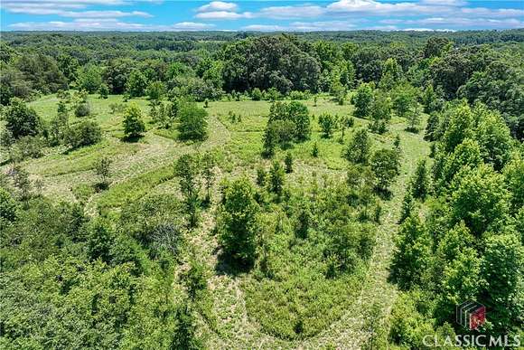 40 Acres of Agricultural Land for Sale in Dewy Rose, Georgia