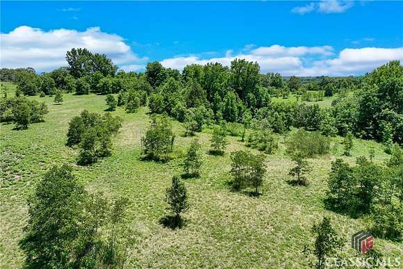 20 Acres of Agricultural Land for Sale in Dewy Rose, Georgia