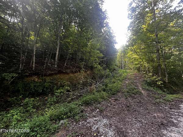 3.7 Acres of Residential Land for Sale in Harriman, Tennessee