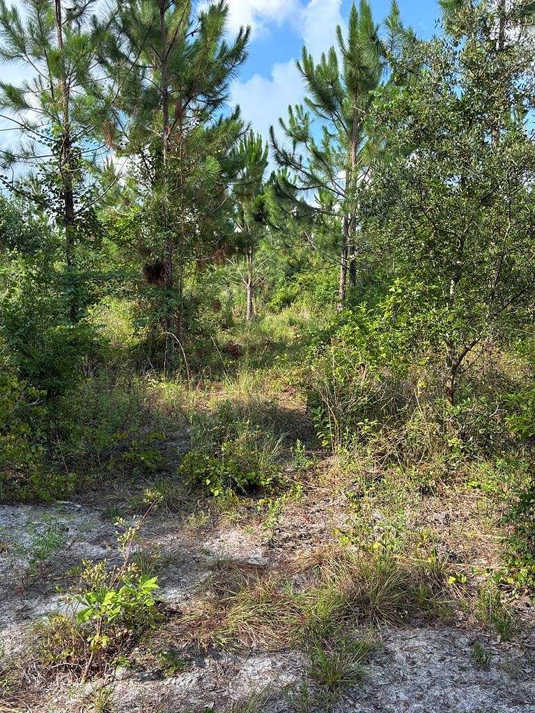 10 Acres of Residential Land for Sale in Old Town, Florida