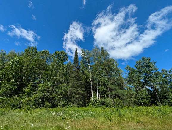 70 Acres of Recreational Land for Sale in Brantwood, Wisconsin