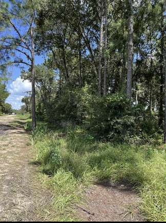 Residential Land for Sale in Frostproof, Florida