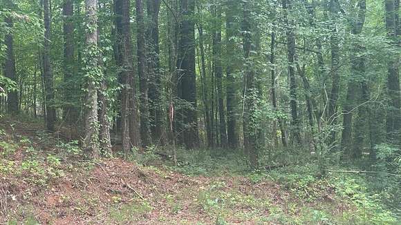 0.72 Acres of Residential Land for Sale in Fairmount, Georgia