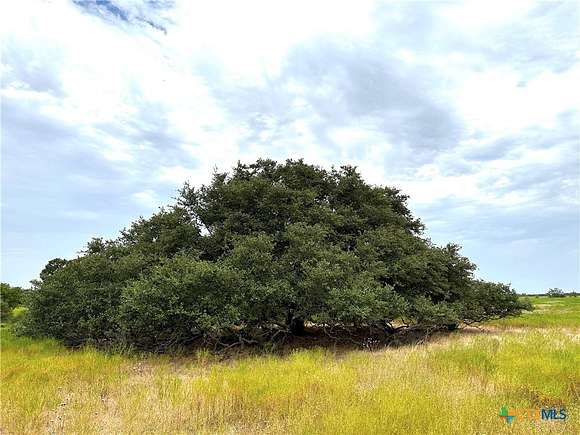 20.71 Acres of Land for Sale in Gatesville, Texas