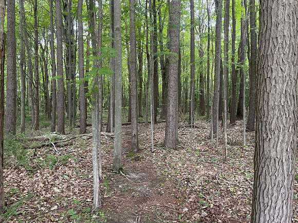 0.6 Acres of Residential Land for Sale in Fennville, Michigan