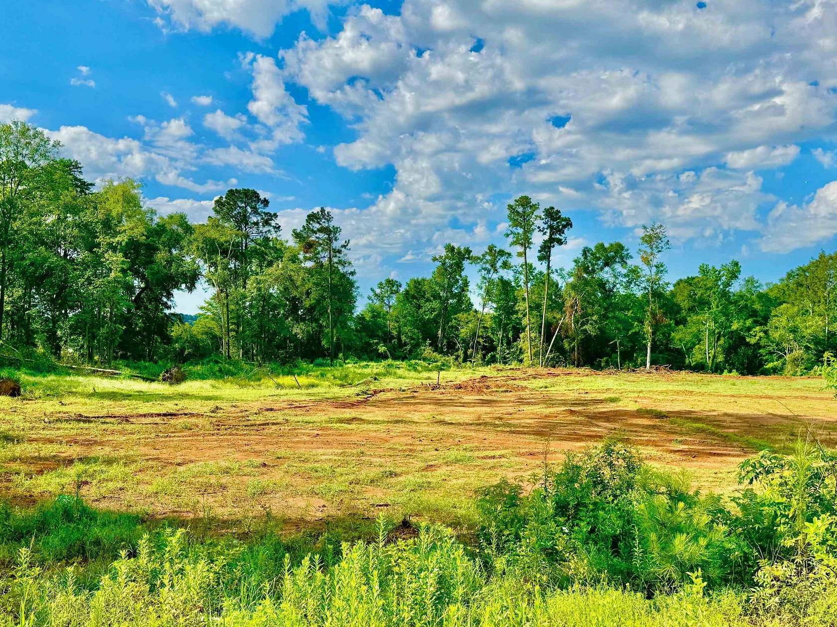 0.81 Acres of Residential Land for Sale in Hemphill, Texas