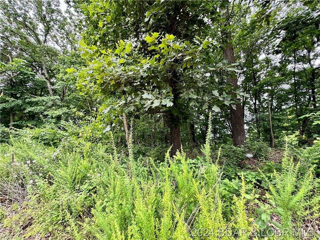 Residential Land for Sale in Stover, Missouri