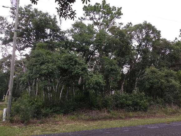 0.23 Acres of Residential Land for Sale in Dunnellon, Florida