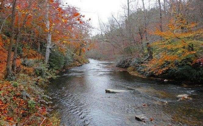 1 Acre of Residential Land for Sale in Warne, North Carolina