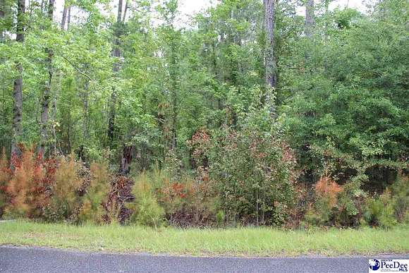 1 Acres of Residential Land for Sale in McBee, South Carolina