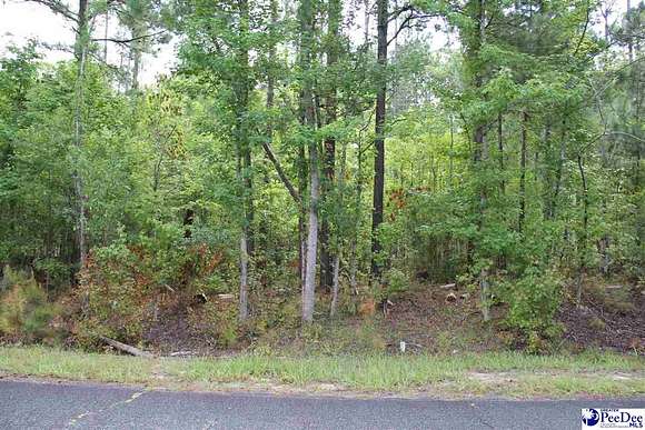 1 Acres of Residential Land for Sale in McBee, South Carolina