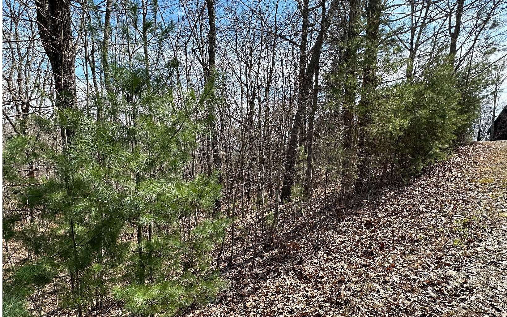 1.03 Acres of Land for Sale in Murphy, North Carolina