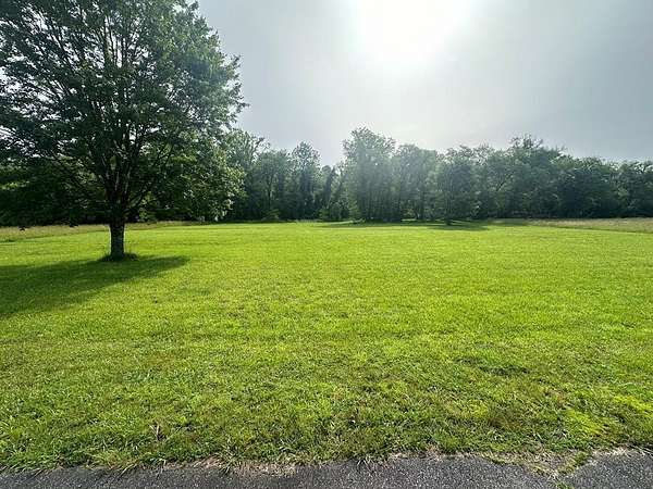 1 Acre of Residential Land for Sale in Warne, North Carolina
