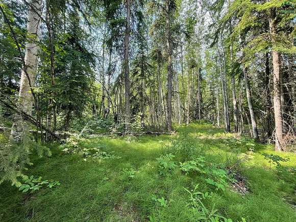 42.2 Acres of Land with Home for Sale in North Pole, Alaska
