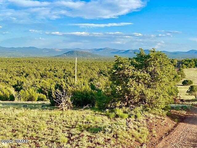 9.18 Acres of Residential Land for Sale in Vernon, Arizona - LandSearch