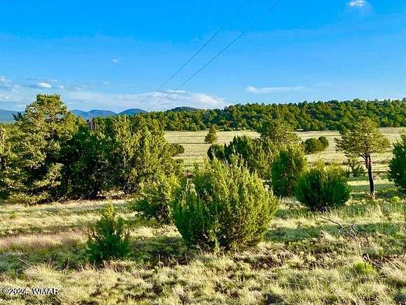 9.18 Acres of Residential Land for Sale in Vernon, Arizona