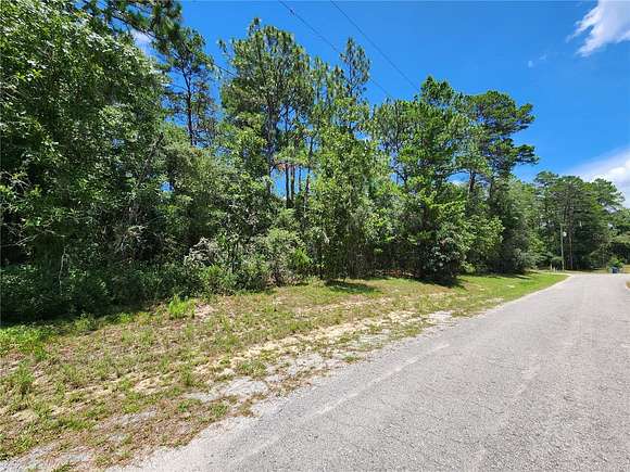 5 Acres of Residential Land for Sale in Brooksville, Florida