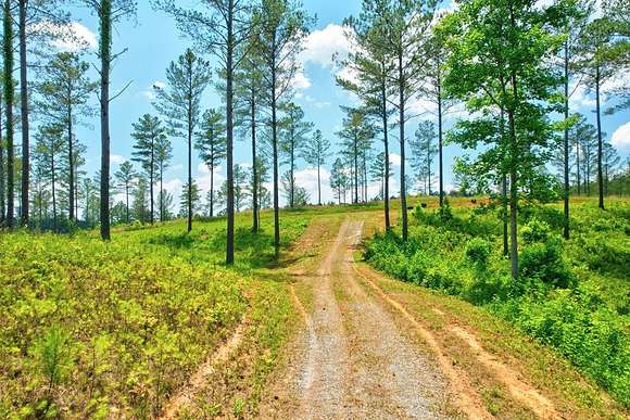 10.68 Acres of Recreational Land for Sale in Ellijay, Georgia