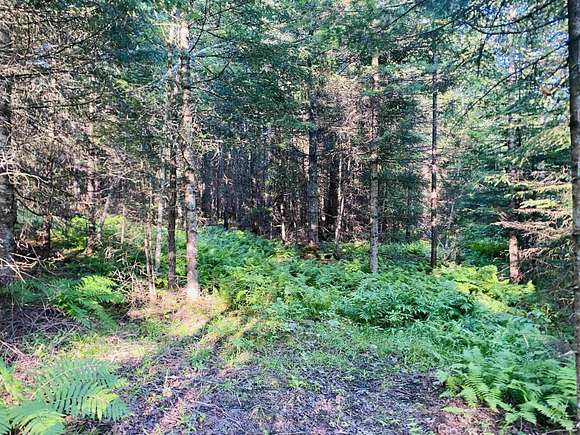 5.5 Acres of Land for Sale in Lyndon, Vermont