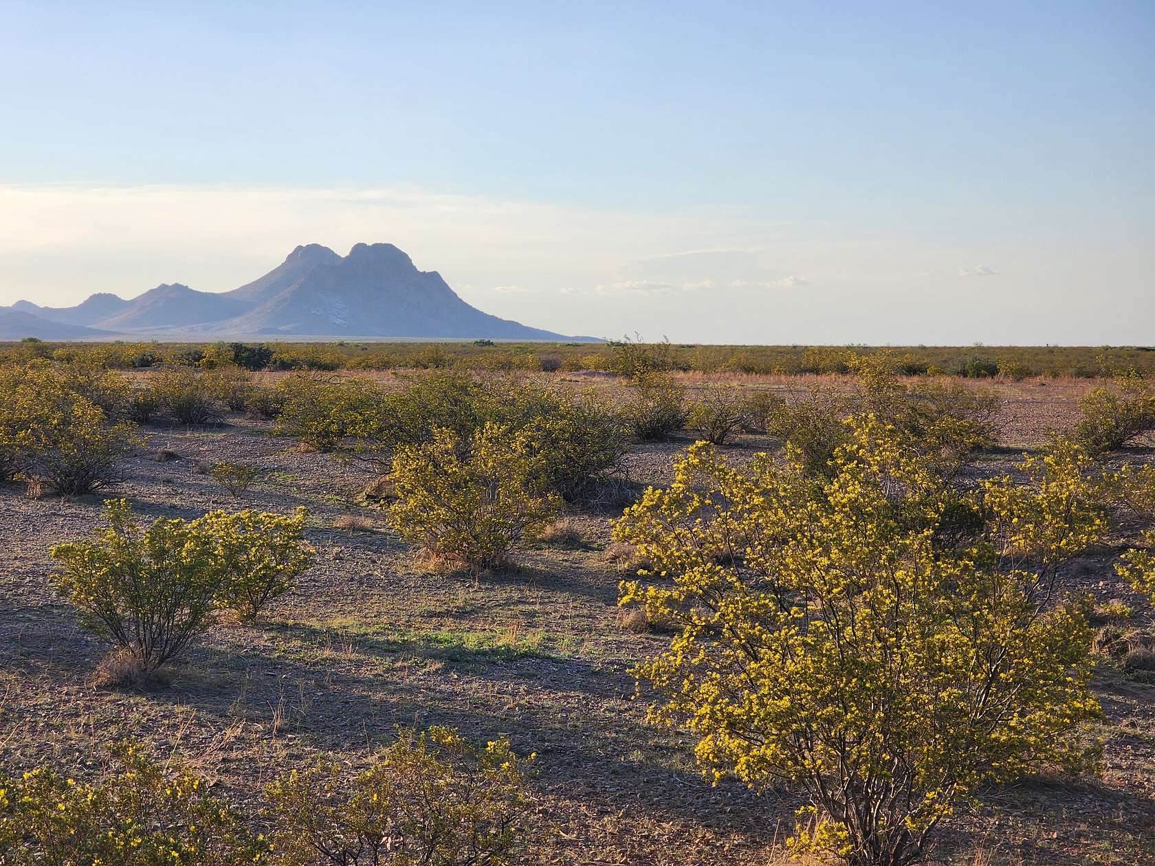 0.52 Acres of Residential Land for Sale in Deming, New Mexico