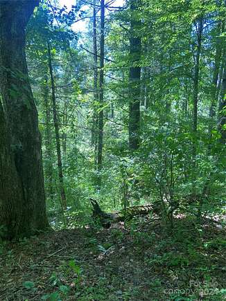 3 Acres of Land for Sale in Marshall, North Carolina