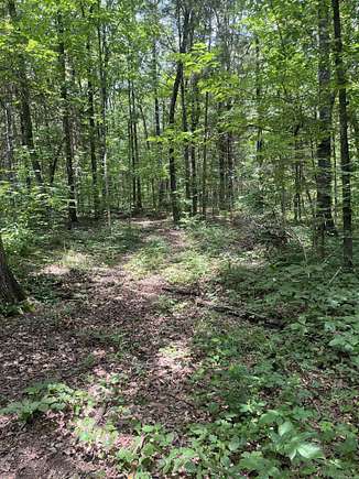 0.47 Acres of Residential Land for Sale in Greers Ferry, Arkansas