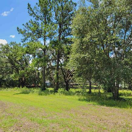 1.67 Acres of Residential Land for Sale in Pinetta, Florida