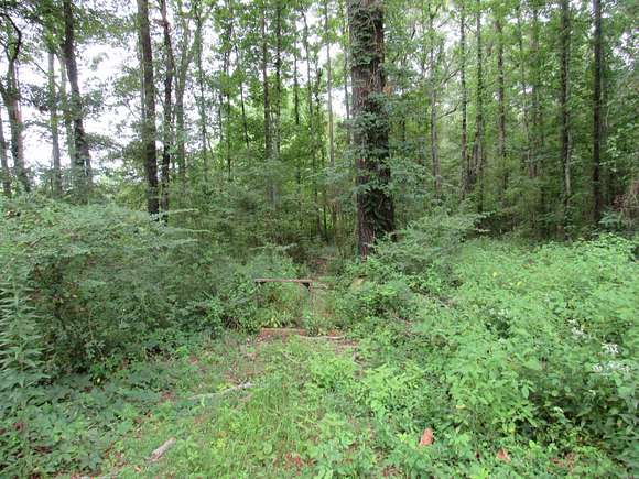 1.17 Acres of Land for Sale in Conway, Arkansas