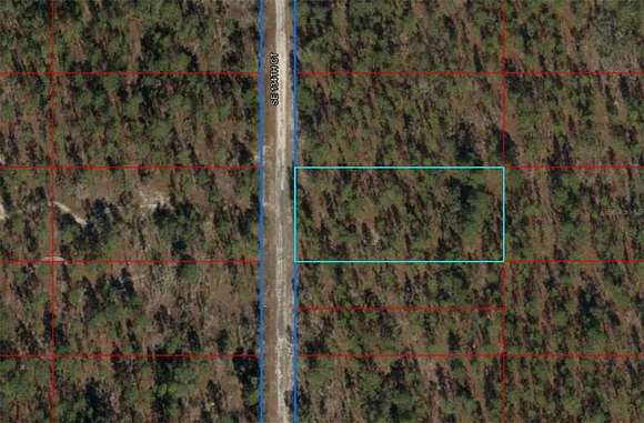 1 Acre of Residential Land for Sale in Dunnellon, Florida