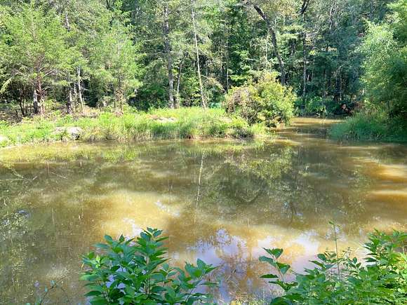 32 Acres of Recreational Land for Sale in Westville, Florida