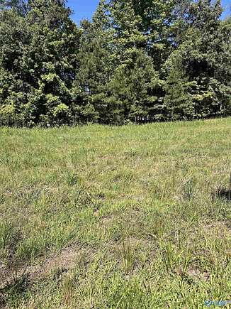 0.17 Acres of Land for Sale in Centre, Alabama