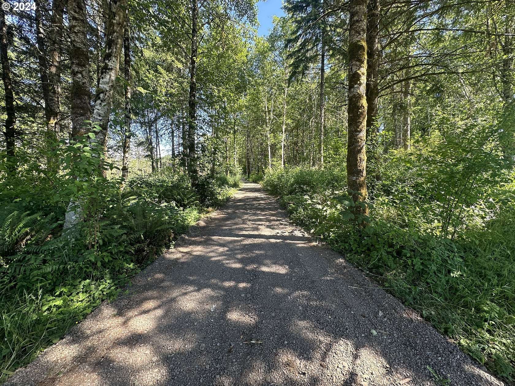 17.52 Acres of Recreational Land for Sale in Rainier, Oregon