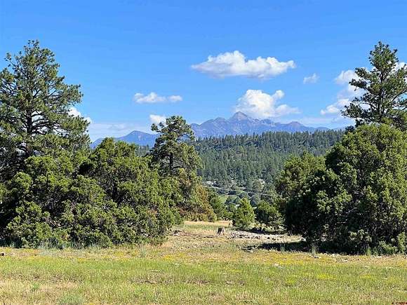 35.08 Acres of Agricultural Land for Sale in Pagosa Springs, Colorado