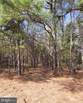 18.63 Acres of Land for Sale in Avenue, Maryland