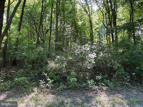 0.09 Acres of Land for Sale in Chestertown, Maryland