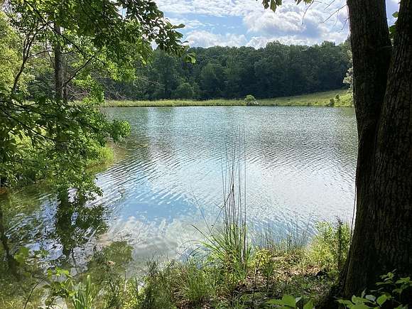 100 Acres of Land for Sale in Highland Home, Alabama